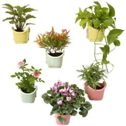 Promo Suspendu Mural 6 Pots De Fleurs Simples - 100% Plastique Recyclé Sans BPA, Gratuit Pour Bricoler Votre Décoration Colorée Pour Le Jardin Maison (coloré) à La Fois Intérieur Et Extérieur -Outsunny Eda Magasin 86491991 3