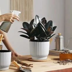 AIDUCHO 6pcs Bac à Fleurs Auto-Irrigation Plastique Rond - Blanc, Pot Avec Réserve D'eau Pot Avec Système D'Arrosage Pour Planter Les Plantes Fleur Facilement, Décoration Pour Jardin Maison 15cm -Outsunny Eda Magasin 88646731 5