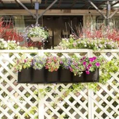 6 Poches Suspendues Jardinière Murale Mise à Niveau étanche Couche Jardin Sac De Plantation élargi Et Approfondi Poches Pour Balcon Jardin Cour Bureau Décoration De La Maison 11 6 Poches Suspendues Jardinière Murale Mise à Niveau étanche Couche Jardin Sac De Plantation élargi Et Approfondi Poches Pour Balcon Jardin Cour Bureau Décoration De La Maison -Outsunny Eda Magasin 88684684 5