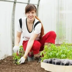 600pcs Sacs De Pépinière Non Tissés Sacs De Semis De Plantes Biodégradables Sacs Environnementaux De Culture De Plantes Pour Plantes Graines Jardin Et Maison,Superma, 186cm -Outsunny Eda Magasin 89385145 5