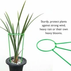 Plante Grimpante Support Grande Plante Support Cage Jardin Plante Fleur Légume Anneau,,S & 1PC -Outsunny Eda Magasin 90083251 3