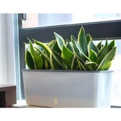 Super Grand Planteur De Fleurs En Plastique Forme Rectangulaire Pots Absorbant L'eau Style Nordique Intérieur Pot De Fleur à Arrosage Automatique 01en Tant Que Pic -Outsunny Eda Magasin 90290050 3