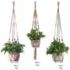 Corde De Plante En Macramé Support De Pot Suspendu Porte-plante Crochet De Suspension Pour Plantes D'intérieur Décoration De Jardin Extérieur Avec, 3 Pièces(1) -Outsunny Eda Magasin 91021222 1