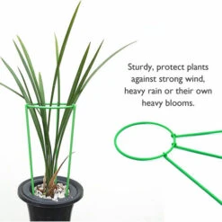 Support De Plante Grimpante Stakes Cage A Anneau-g De Support De Plante Haute Pour Legume-fleur De Plante De Jardin, Modele: S & 1PC OURGCA7EU -Outsunny Eda Magasin 91545876 3