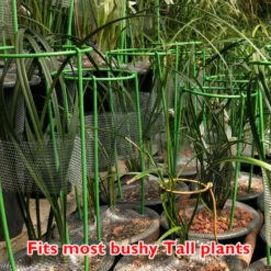 Support De Plante Grimpante Stakes Cage A Anneau-g De Support De Plante Haute Pour Legume-fleur De Plante De Jardin, Modele: S & 1PC OURGCA7EU -Outsunny Eda Magasin 91545876 5