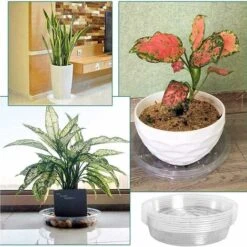 10 Pcs Soucoupes à Plantes Transparent Pour Pots, Soucoupe Plastique De Fleurs Pour Plante Intérieur Et Extérieur - Soucoupes Rondes 8 In -Outsunny Eda Magasin 94234462 4