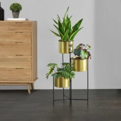 Nova Réglez 3 Porte-fleurs Idéal Pour Chaque Espace De La Maison Vases Colorées En Or Et Cadre Noir
