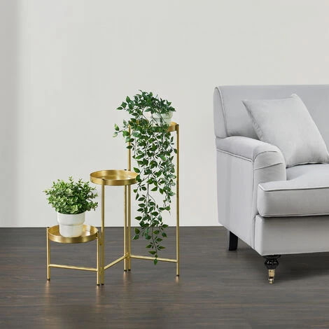 Nova 3 Résumées Pour Les Plantes Intérieures Avec Cadre De Cadre Colorant En Or 3 Nova 3 Résumées Pour Les Plantes Intérieures Avec Cadre De Cadre Colorant En Or