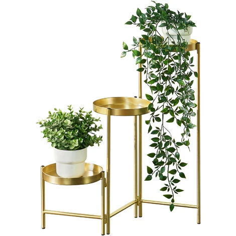 Nova 3 Résumées Pour Les Plantes Intérieures Avec Cadre De Cadre Colorant En Or 4 Nova 3 Résumées Pour Les Plantes Intérieures Avec Cadre De Cadre Colorant En Or – Image 2