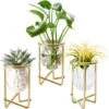 Porte-plantes Aériennes Décor En Métal Doré Pour La Maison Ensemble De 3 Mini-jardinières Géométriques Terrariums Vase En Verre Tillandsia Présentoirs Pour Femmes Vases Hydroponiques Pour Bureau (plan 1 Porte-plantes Aériennes Décor En Métal Doré Pour La Maison Ensemble De 3 Mini-jardinières Géométriques Terrariums Vase En Verre Tillandsia Présentoirs Pour Femmes Vases Hydroponiques Pour Bureau (plan -Outsunny Eda Magasin 94653625 1