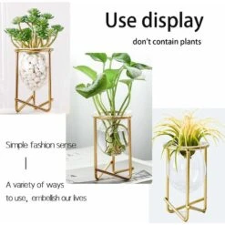 Porte-plantes Aériennes Décor En Métal Doré Pour La Maison Ensemble De 3 Mini-jardinières Géométriques Terrariums Vase En Verre Tillandsia Présentoirs Pour Femmes Vases Hydroponiques Pour Bureau (plan -Outsunny Eda Magasin 94653625 3