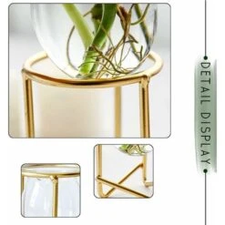 Porte-plantes Aériennes Décor En Métal Doré Pour La Maison Ensemble De 3 Mini-jardinières Géométriques Terrariums Vase En Verre Tillandsia Présentoirs Pour Femmes Vases Hydroponiques Pour Bureau (plan -Outsunny Eda Magasin 94653625 4
