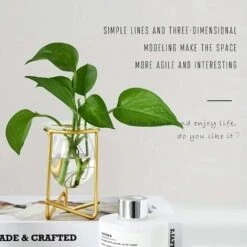 Porte-plantes Aériennes Décor En Métal Doré Pour La Maison Ensemble De 3 Mini-jardinières Géométriques Terrariums Vase En Verre Tillandsia Présentoirs Pour Femmes Vases Hydroponiques Pour Bureau (plan -Outsunny Eda Magasin 94653625 5