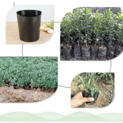 500pcs Pot De Pépinière En Plastique Contenant De Propagation De Plantes 8cmx8cm Thsinde -Outsunny Eda Magasin 95793799 4