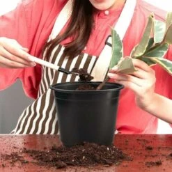 Lot De 50 Pots De Fleurs En Plastique Noir De 15 Cm Pour Plantes Succulentes, Légumes Et Boutures Zhuoxuan 10 Lot De 50 Pots De Fleurs En Plastique Noir De 15 Cm Pour Plantes Succulentes, Légumes Et Boutures Zhuoxuan -Outsunny Eda Magasin 95793806 4