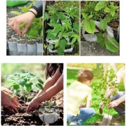 Lot De 100 Sacs De Plantation, Biodégradables, En Tissu Non Tissé, Sacs à Plantes, Durables, Pour Plantes, Fleurs, Jardins (18 X 22 Cm) -Outsunny Eda Magasin 96840825 3