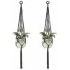 Jardinière En Macramé Suspendue 2 Pcs Cintres En Macramé Pour Fleur