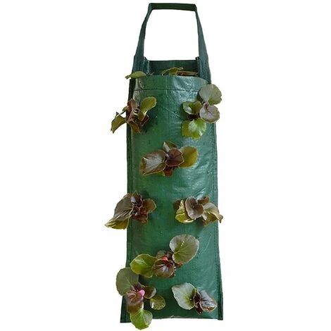 Sac De Plantation De Fraises, Jardinière De Fraises Suspendue, Sacs De Jardinière Suspendus Respirants Multi-Trous, Pour Patios, Petits Jardins, Balcons 8 Trous, 3 Sac De Plantation De Fraises, Jardinière De Fraises Suspendue, Sacs De Jardinière Suspendus Respirants Multi-Trous, Pour Patios, Petits Jardins, Balcons 8 Trous,