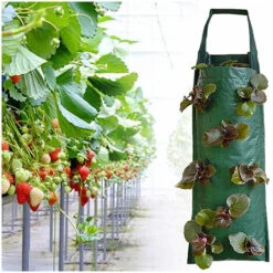 Sac De Plantation De Fraises, Jardinière De Fraises Suspendue, Sacs De Jardinière Suspendus Respirants Multi-Trous, Pour Patios, Petits Jardins, Balcons 8 Trous, 9 Sac De Plantation De Fraises, Jardinière De Fraises Suspendue, Sacs De Jardinière Suspendus Respirants Multi-Trous, Pour Patios, Petits Jardins, Balcons 8 Trous, -Outsunny Eda Magasin 99410314 3