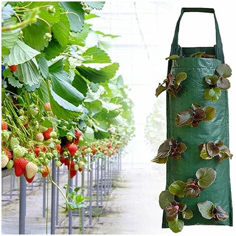 Sac De Plantation De Fraises, Jardinière De Fraises Suspendue, Sacs De Jardinière Suspendus Respirants Multi-Trous, Pour Patios, Petits Jardins, Balcons 8 Trous, 5 Sac De Plantation De Fraises, Jardinière De Fraises Suspendue, Sacs De Jardinière Suspendus Respirants Multi-Trous, Pour Patios, Petits Jardins, Balcons 8 Trous, – Image 3