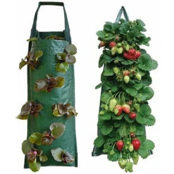 Sac De Plantation De Fraises, Jardinière De Fraises Suspendue, Sacs De Jardinière Suspendus Respirants Multi-Trous, Pour Patios, Petits Jardins, Balcons 8 Trous, 10 Sac De Plantation De Fraises, Jardinière De Fraises Suspendue, Sacs De Jardinière Suspendus Respirants Multi-Trous, Pour Patios, Petits Jardins, Balcons 8 Trous, -Outsunny Eda Magasin 99410314 4